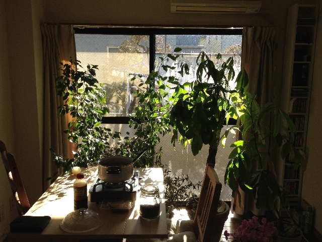 040212.jpg
