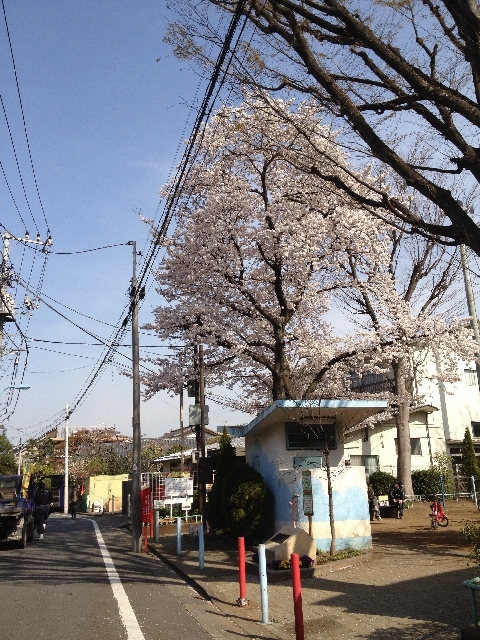100412.jpg