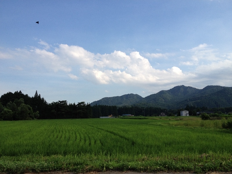 160712-4.jpg